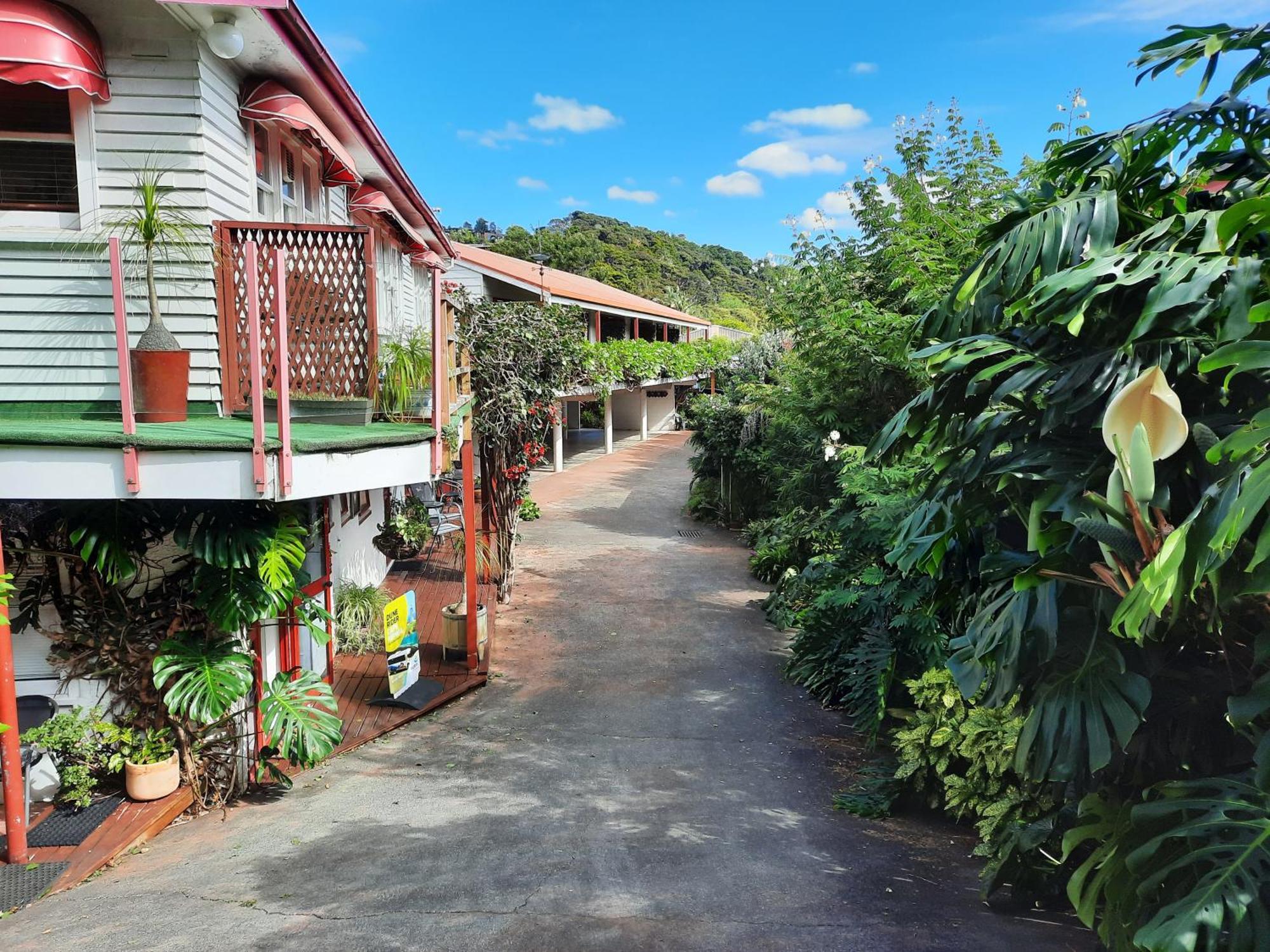 Alfa Boutique Motel Paihia Dış mekan fotoğraf