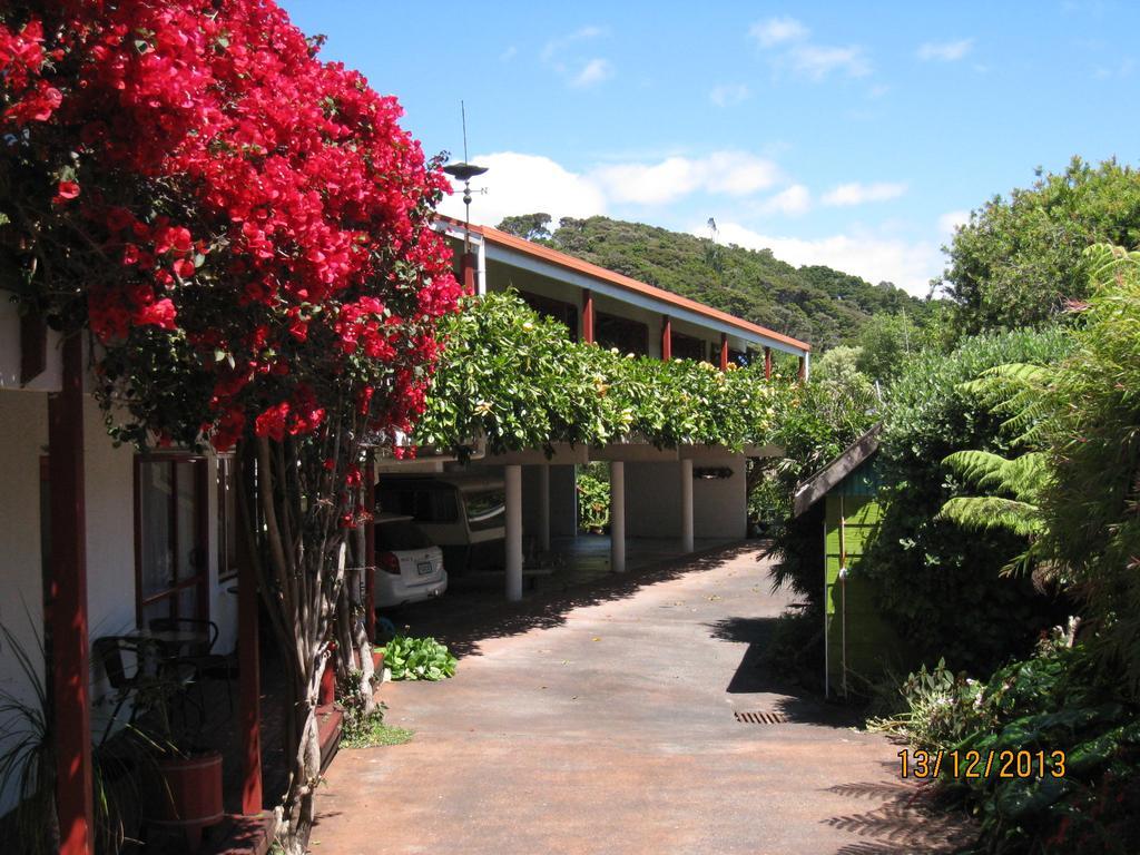 Alfa Boutique Motel Paihia Dış mekan fotoğraf